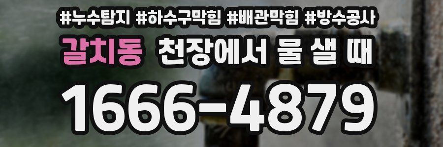 갈치동 천장에서 물 샐 때