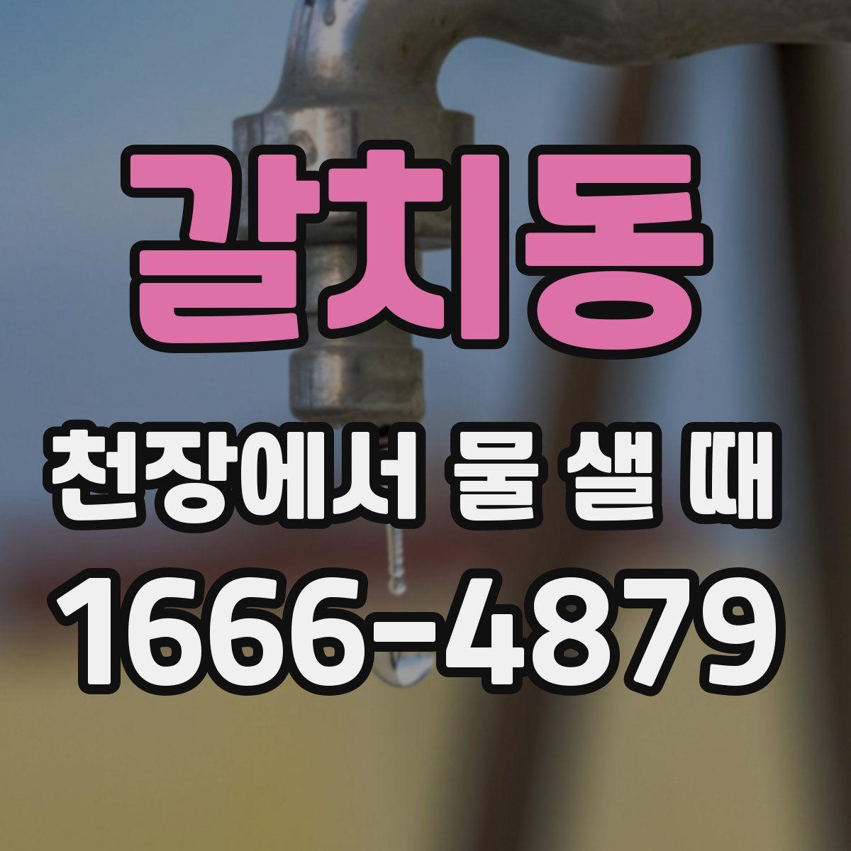 갈치동 천장에서 물 샐 때