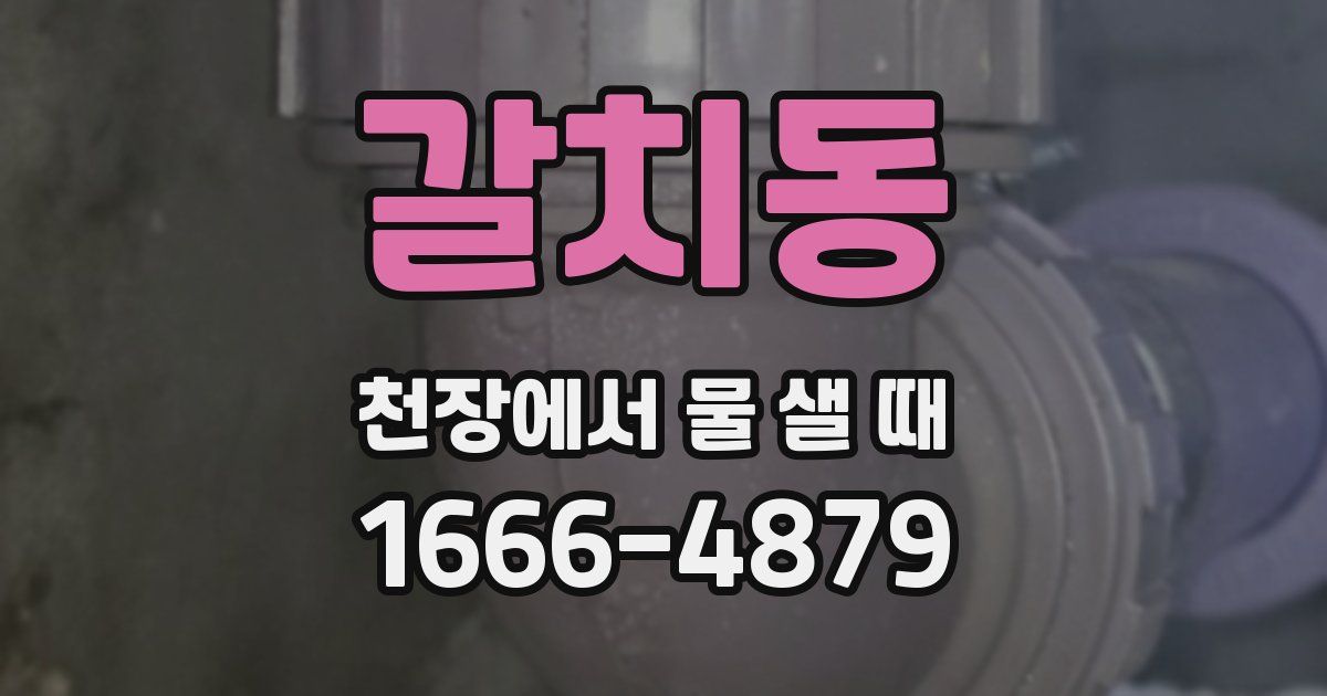 갈치동 천장에서 물 샐 때