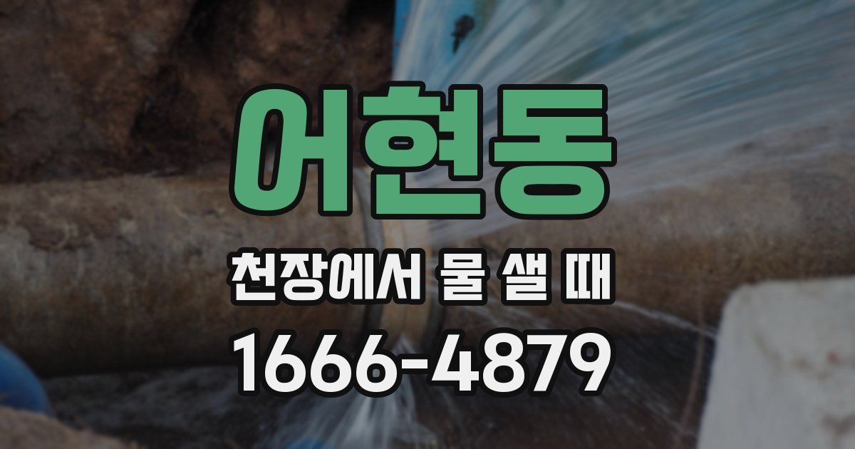 어현동 천장에서 물 샐 때