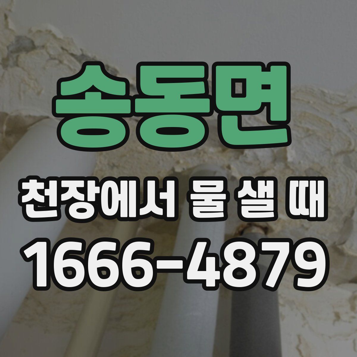 송동면 천장에서 물 샐 때