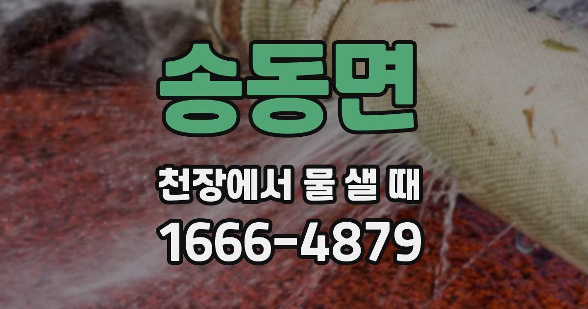 송동면 천장에서 물 샐 때