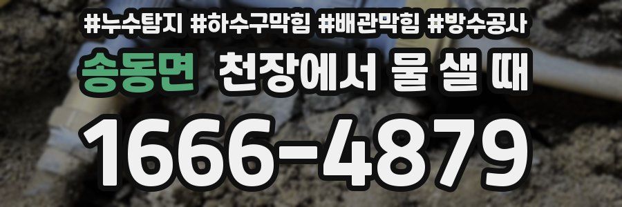 송동면 천장에서 물 샐 때