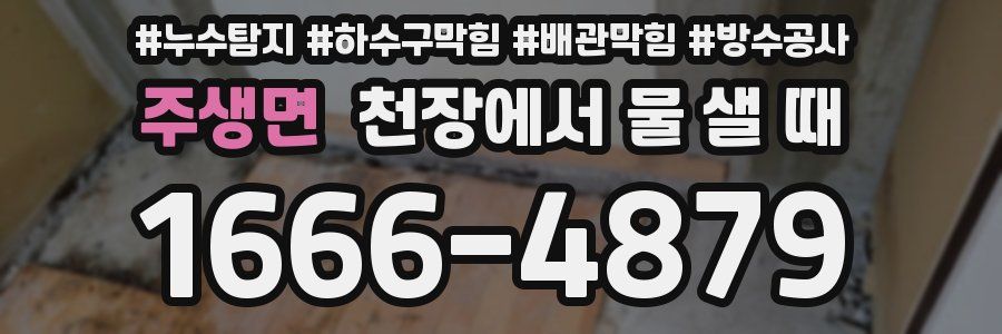 주생면 천장에서 물 샐 때