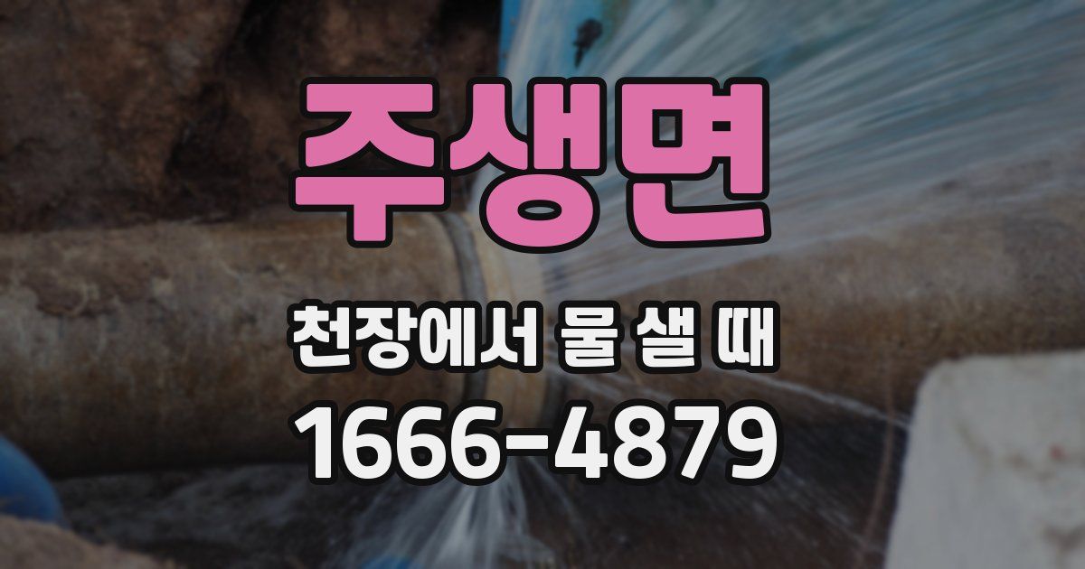 주생면 천장에서 물 샐 때