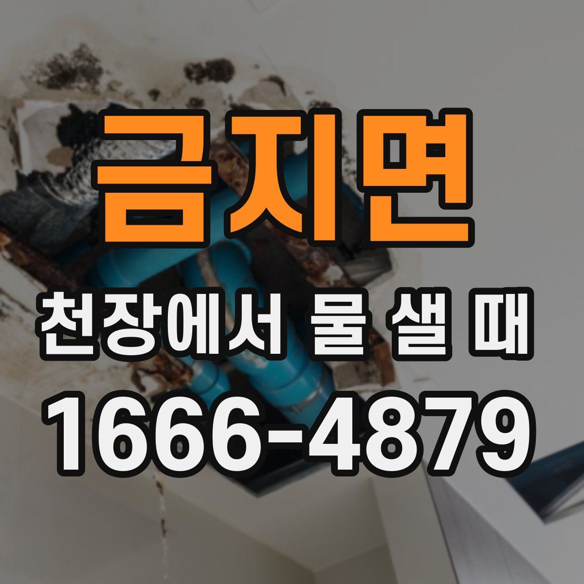 금지면 천장에서 물 샐 때