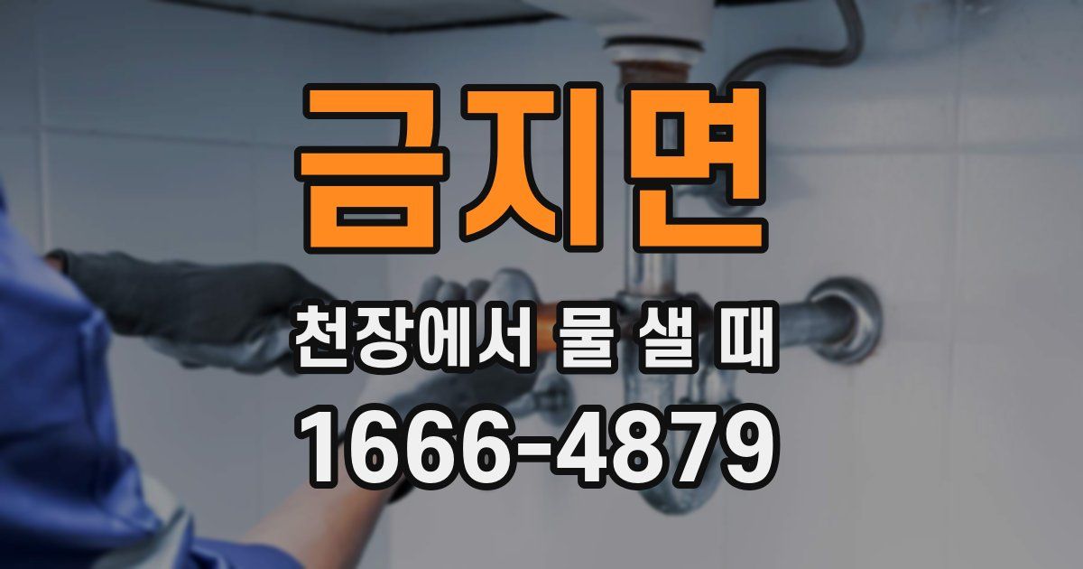 금지면 천장에서 물 샐 때
