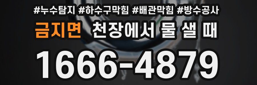 금지면 천장에서 물 샐 때