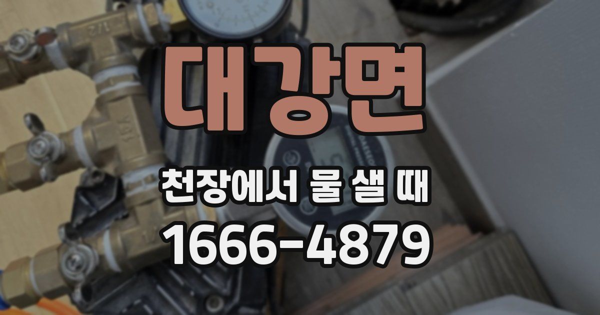 대강면 천장에서 물 샐 때
