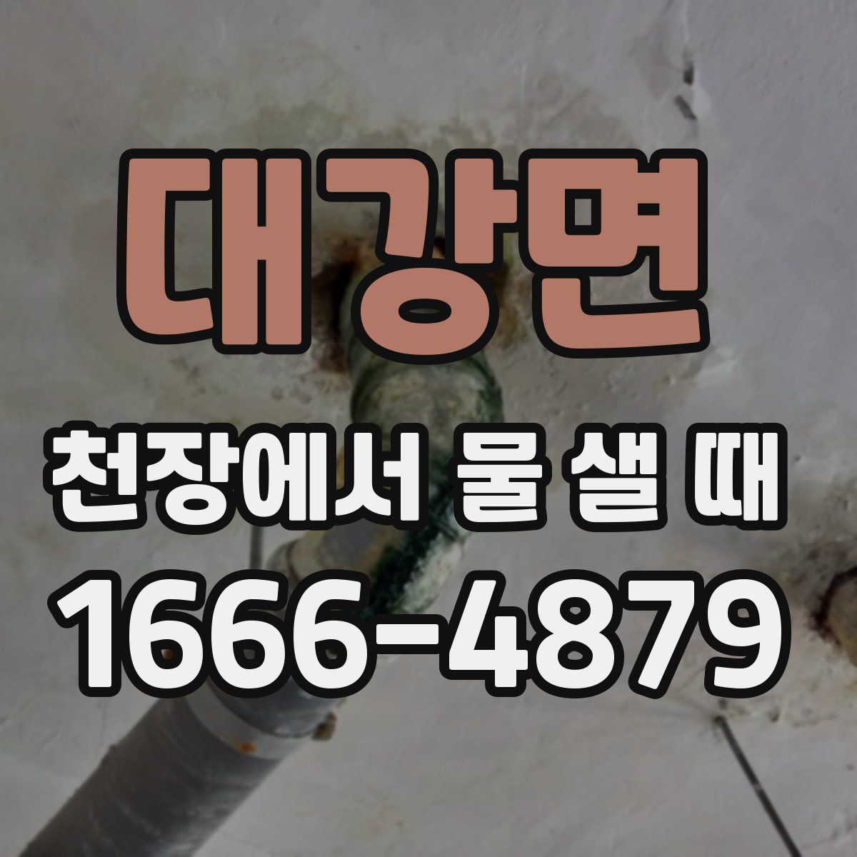 대강면 천장에서 물 샐 때