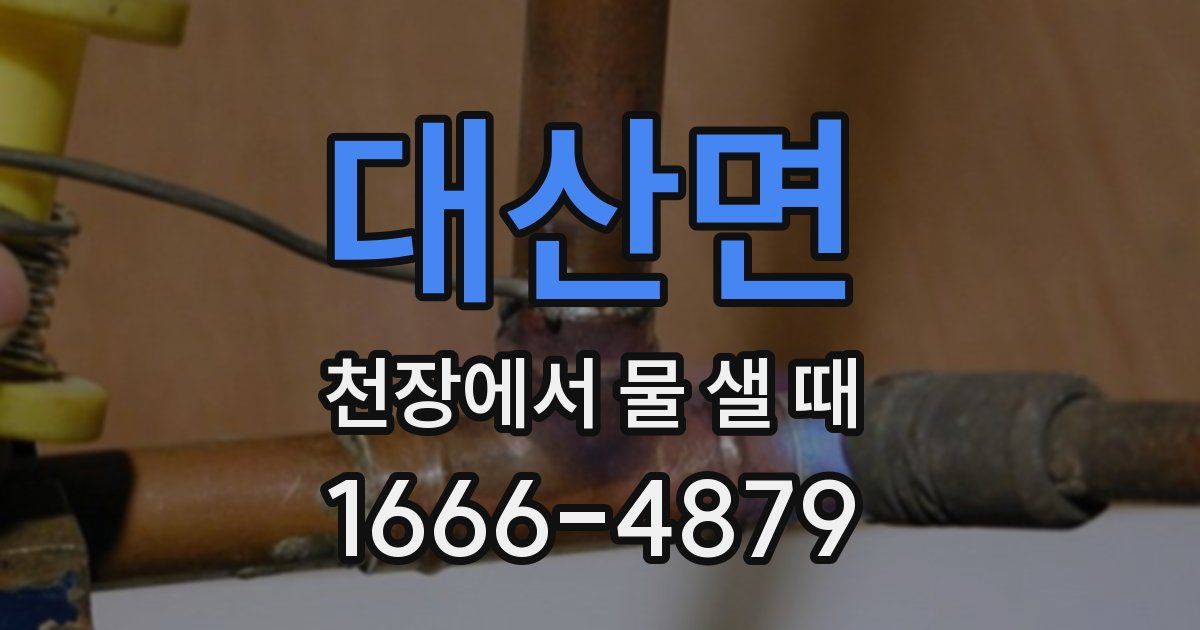 대산면 천장에서 물 샐 때