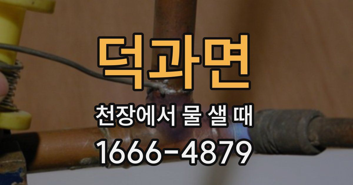덕과면 천장에서 물 샐 때