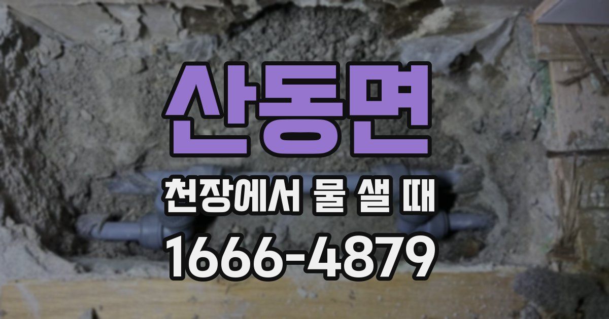 산동면 천장에서 물 샐 때