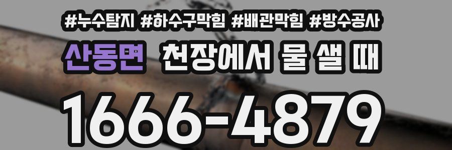 산동면 천장에서 물 샐 때