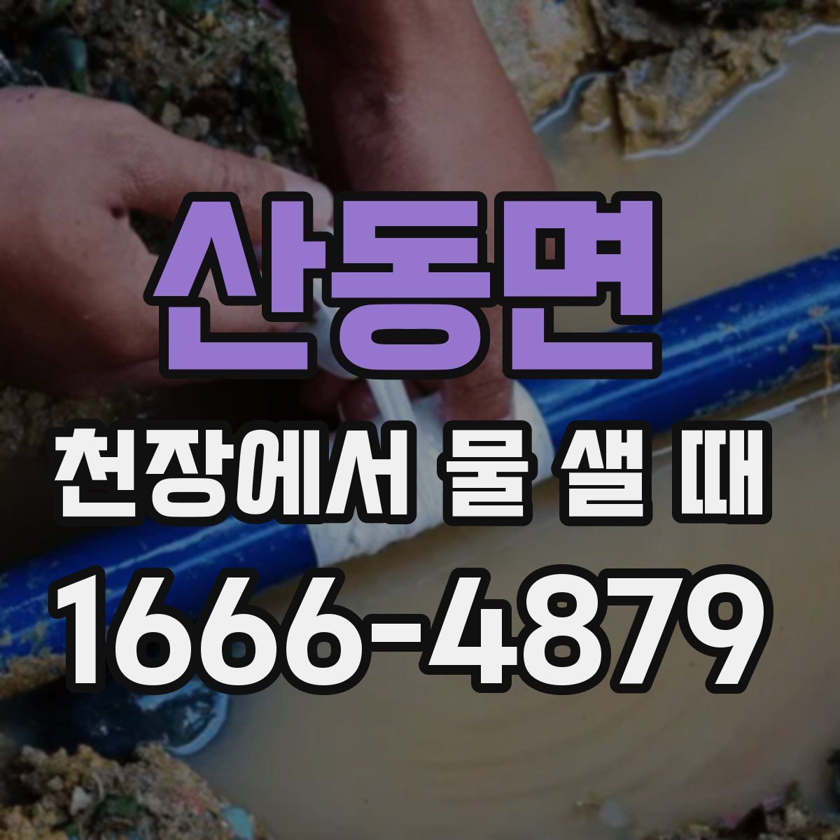 산동면 천장에서 물 샐 때