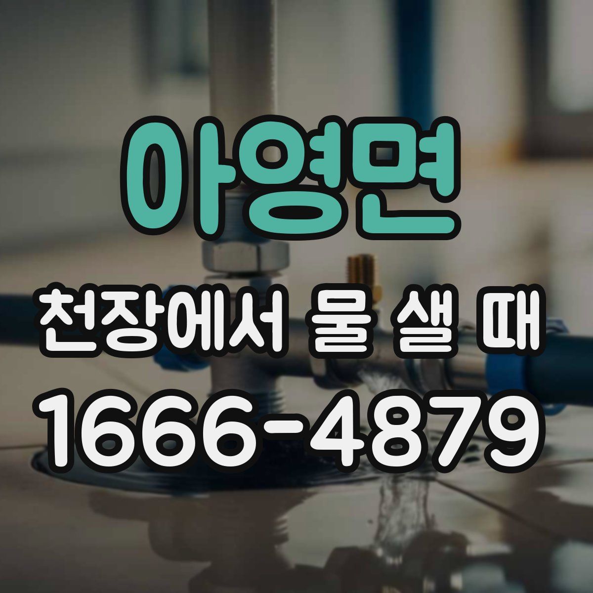 아영면 천장에서 물 샐 때