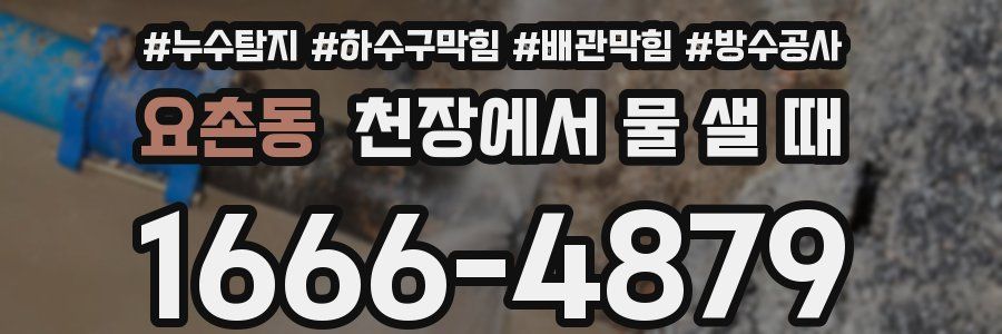 요촌동 천장에서 물 샐 때