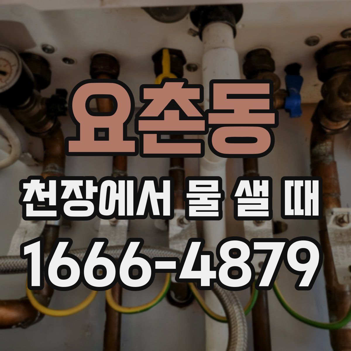 요촌동 천장에서 물 샐 때