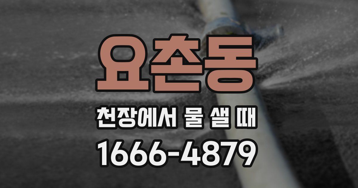 요촌동 천장에서 물 샐 때