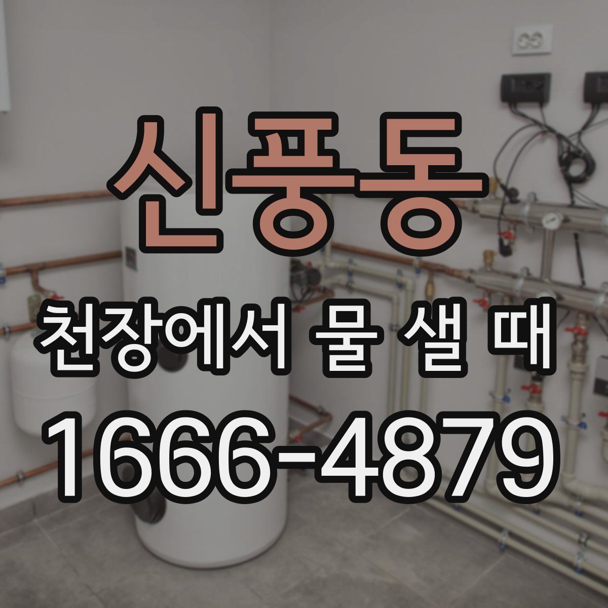 신풍동 천장에서 물 샐 때