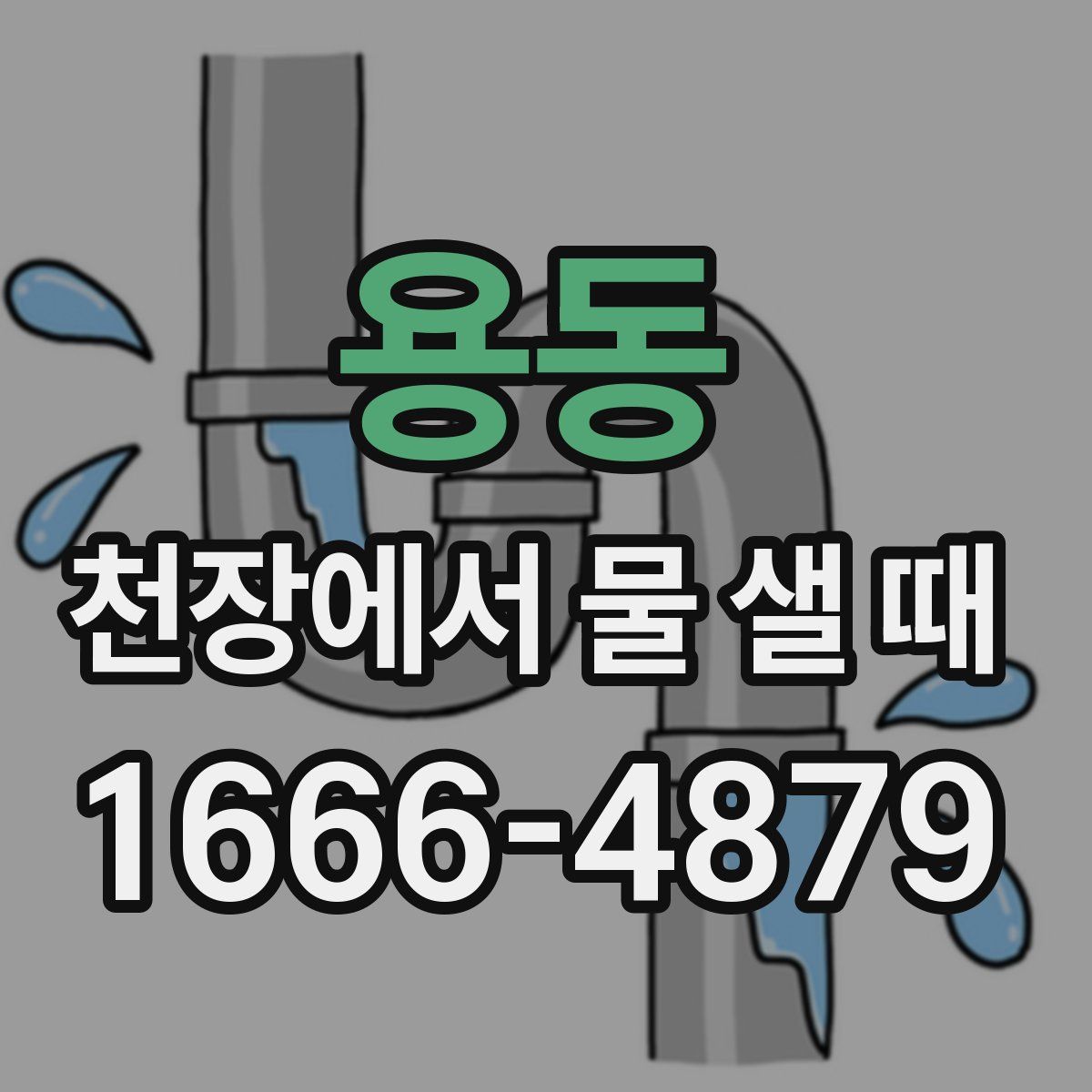용동 천장에서 물 샐 때