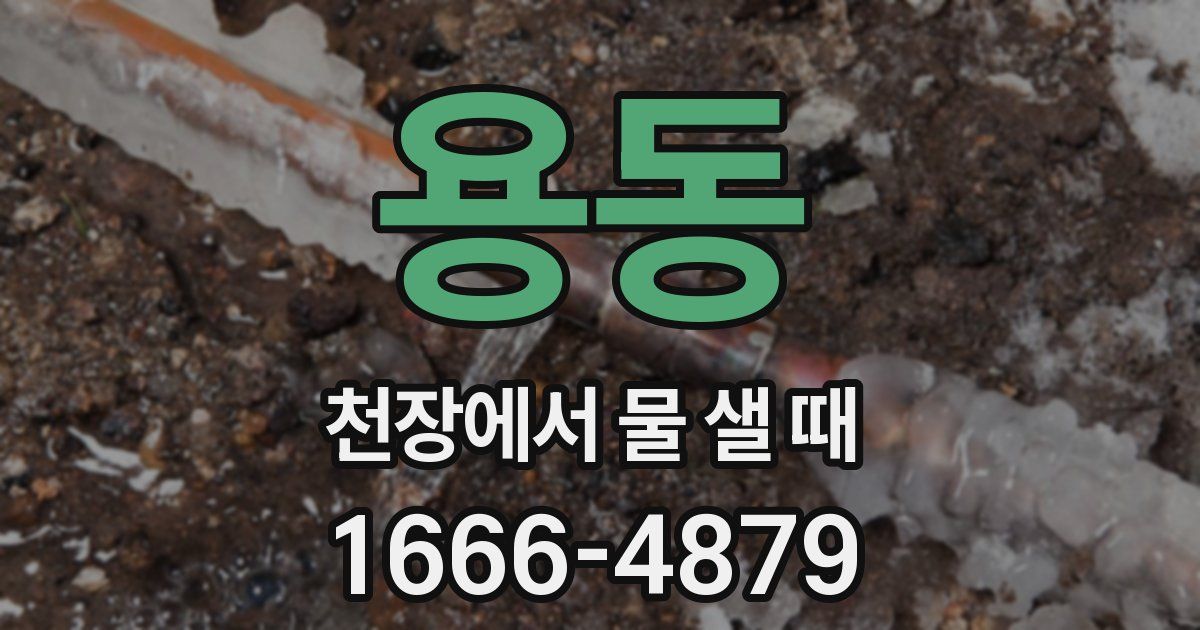 용동 천장에서 물 샐 때