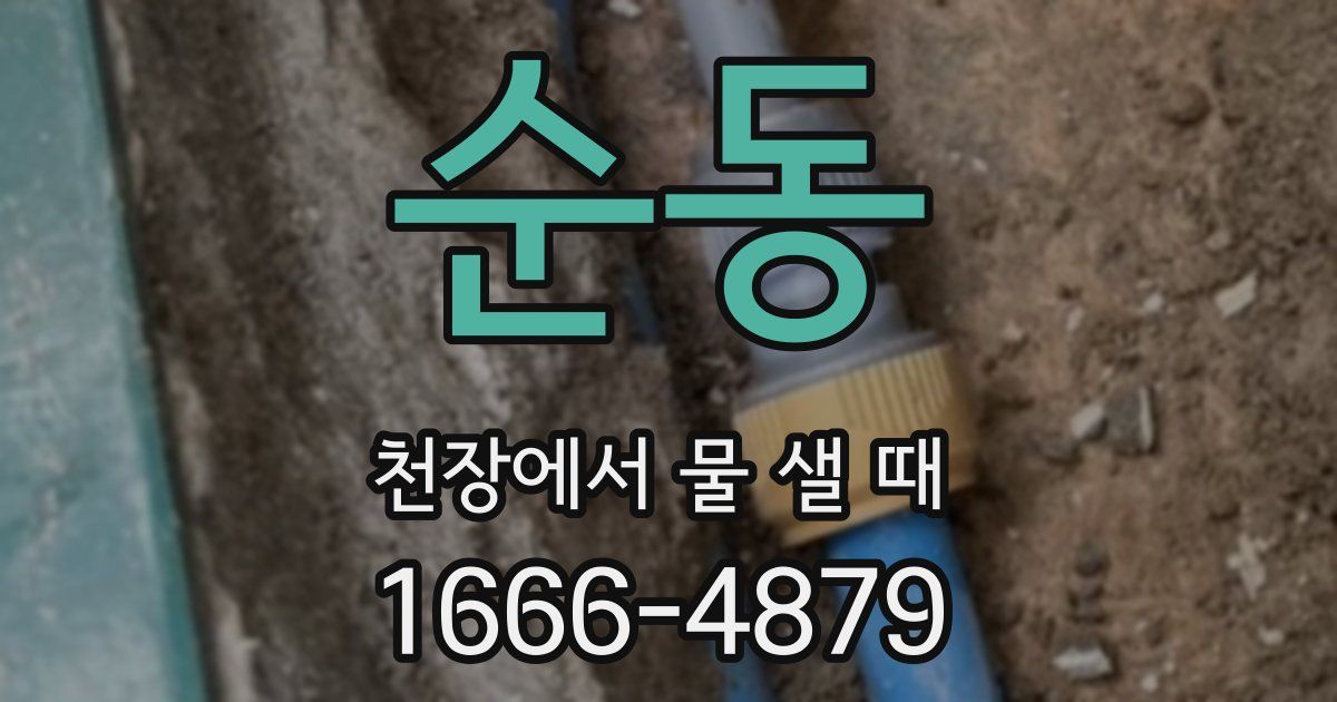 순동 천장에서 물 샐 때