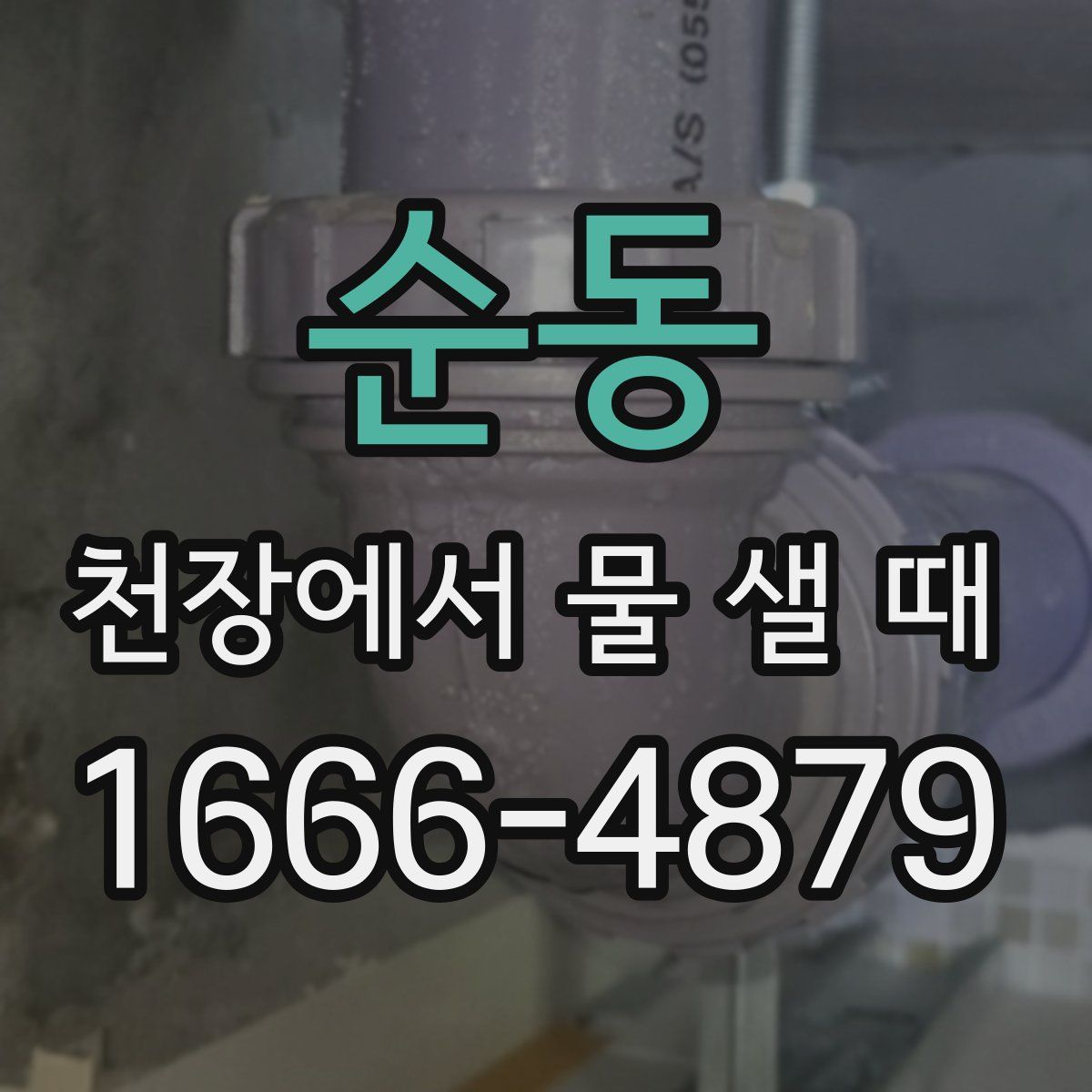 순동 천장에서 물 샐 때