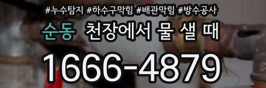 순동 천장에서 물 샐 때