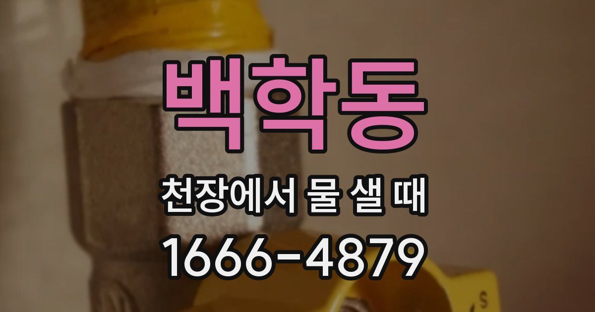 백학동 천장에서 물 샐 때