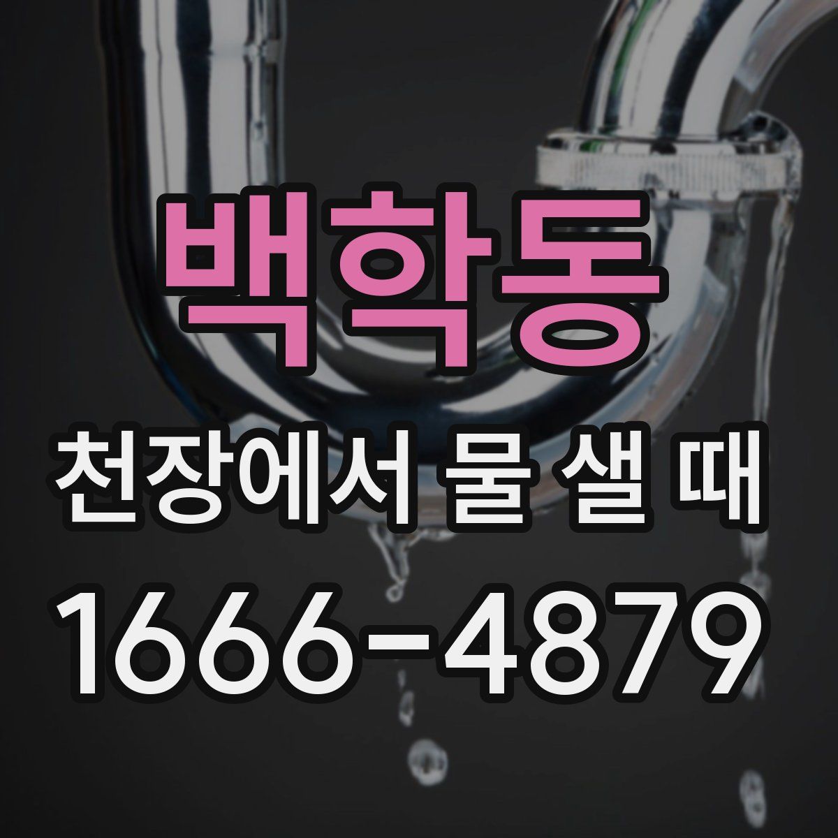 백학동 천장에서 물 샐 때