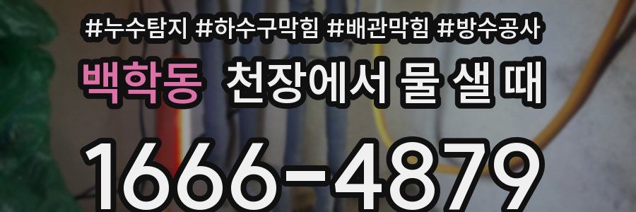 백학동 천장에서 물 샐 때