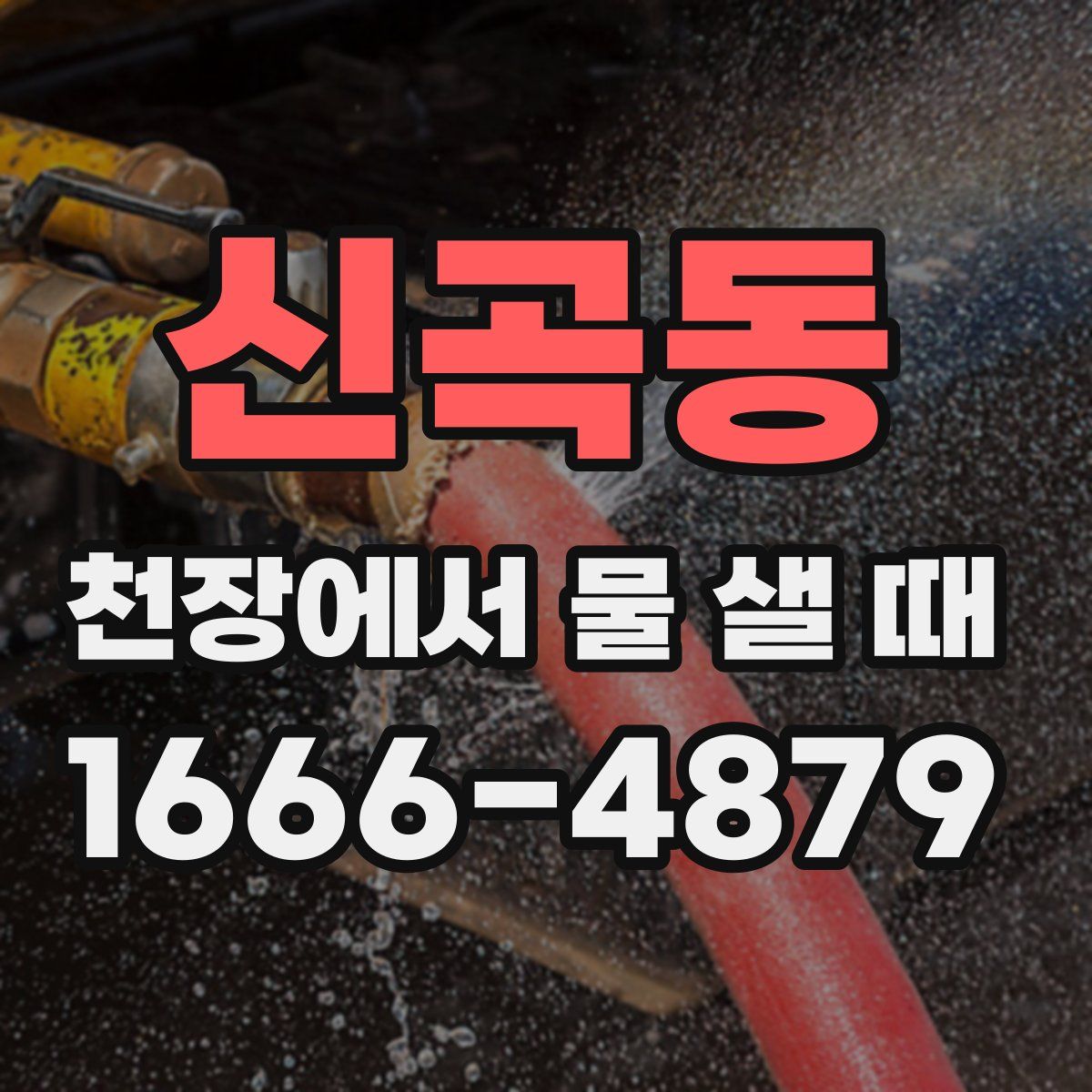 신곡동 천장에서 물 샐 때
