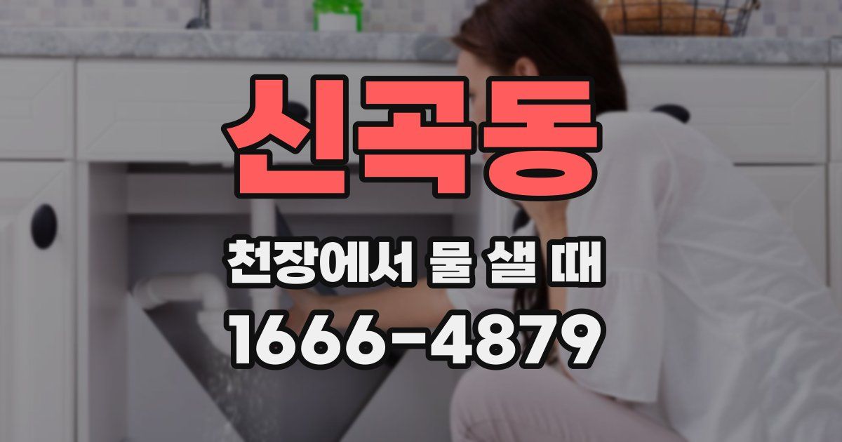 신곡동 천장에서 물 샐 때