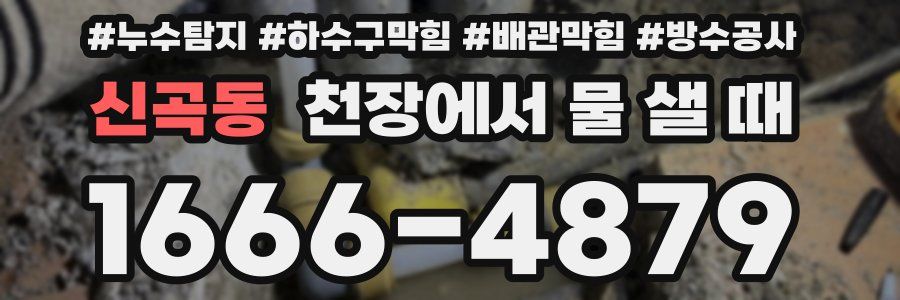 신곡동 천장에서 물 샐 때