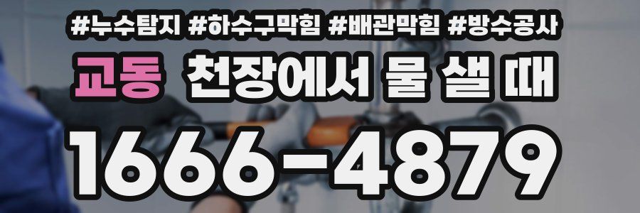 교동 천장에서 물 샐 때