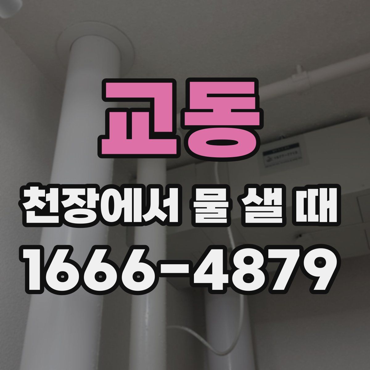 교동 천장에서 물 샐 때