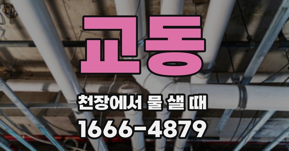 교동 천장에서 물 샐 때