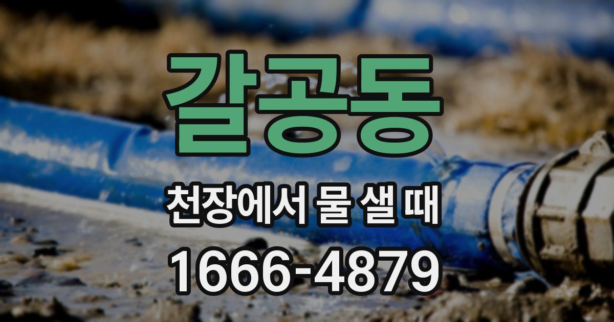 갈공동 천장에서 물 샐 때