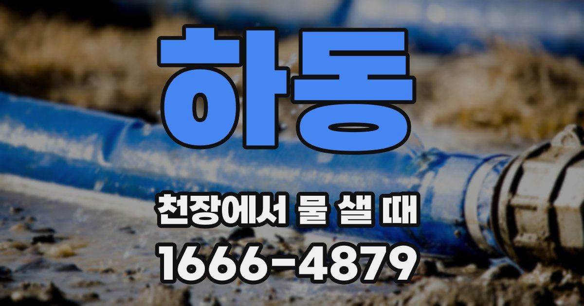 하동 천장에서 물 샐 때