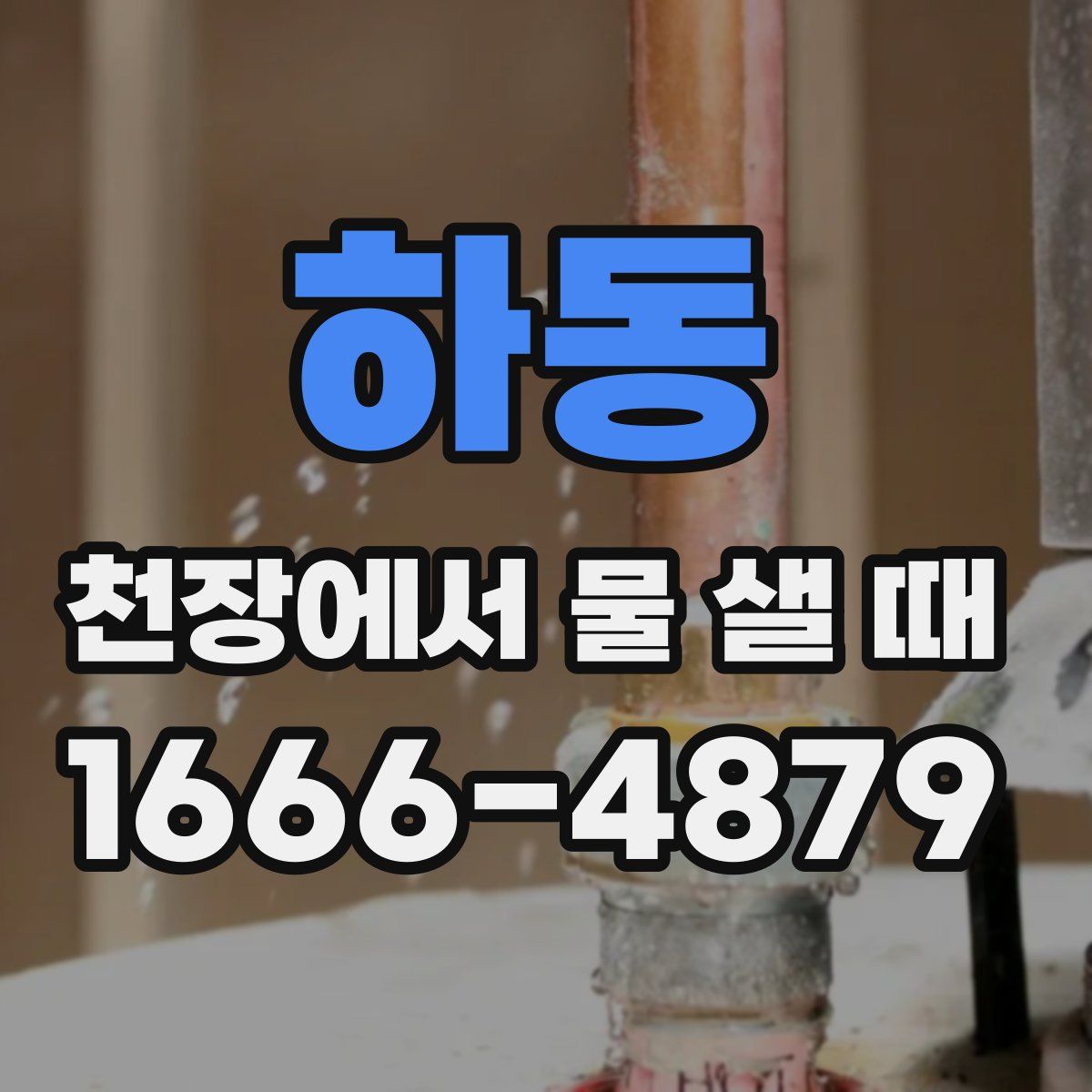 하동 천장에서 물 샐 때