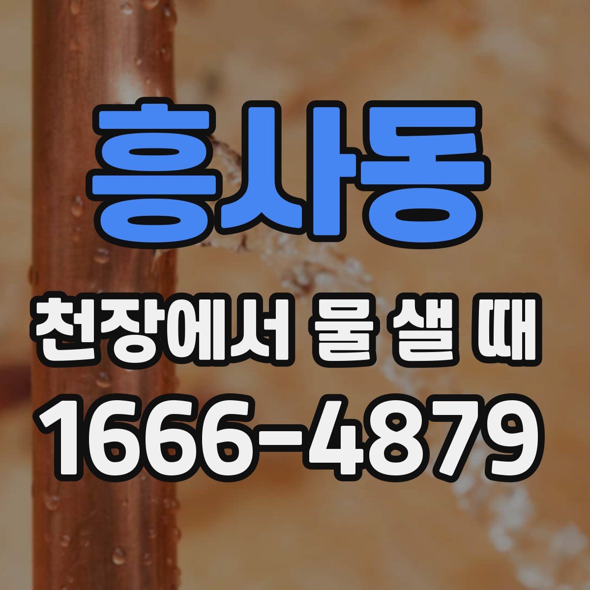 흥사동 천장에서 물 샐 때
