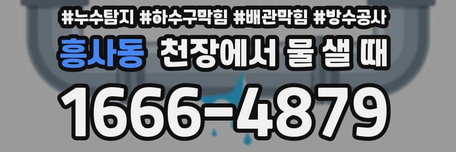 흥사동 천장에서 물 샐 때