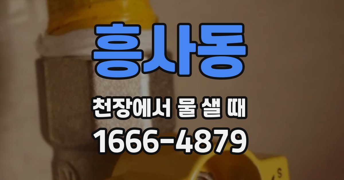 흥사동 천장에서 물 샐 때
