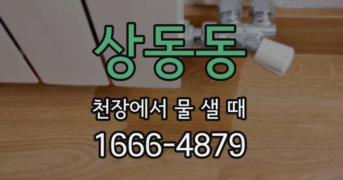 상동동 천장에서 물 샐 때