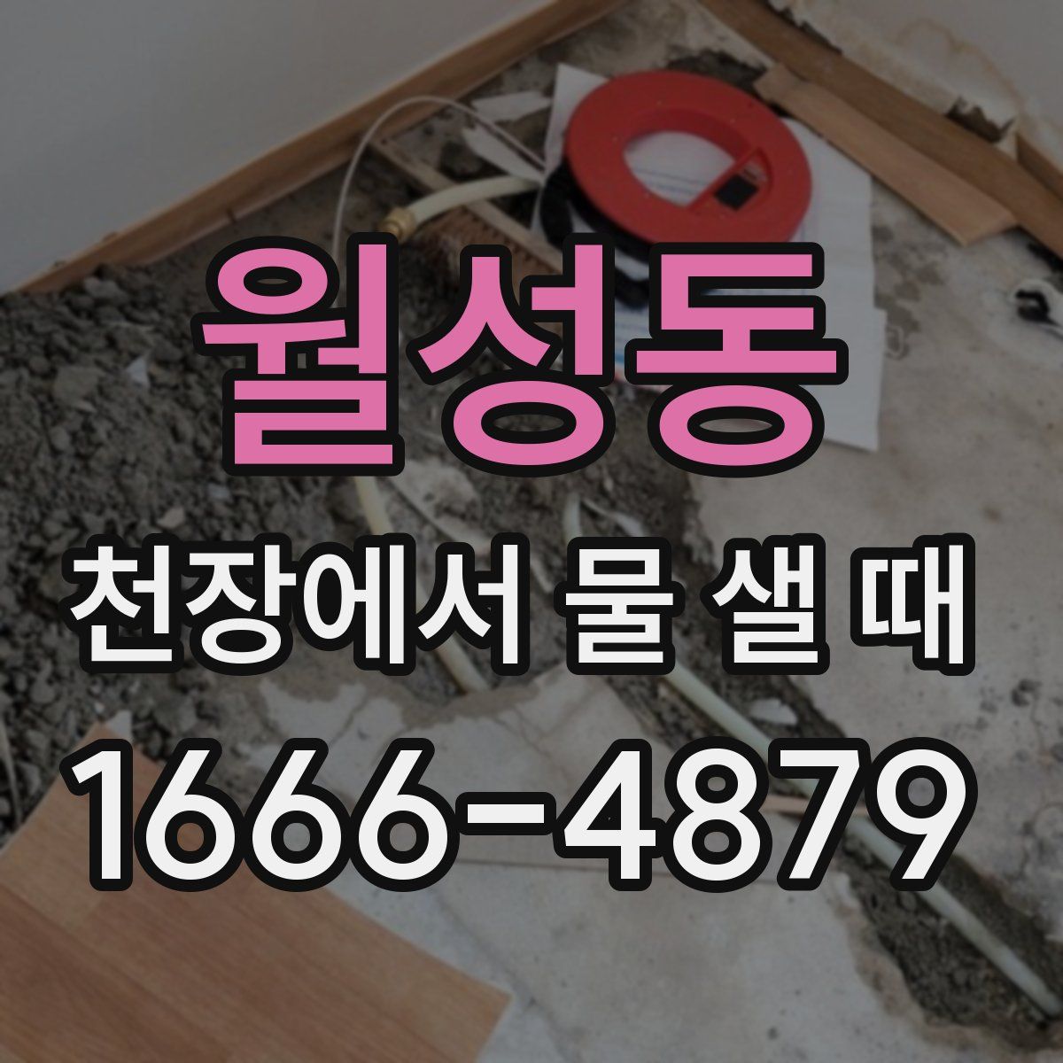 월성동 천장에서 물 샐 때