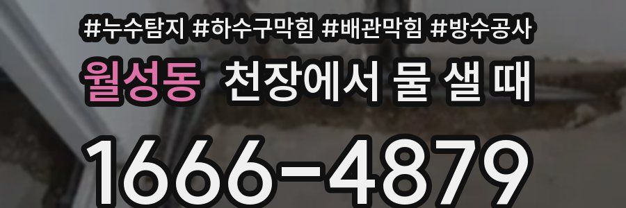 월성동 천장에서 물 샐 때