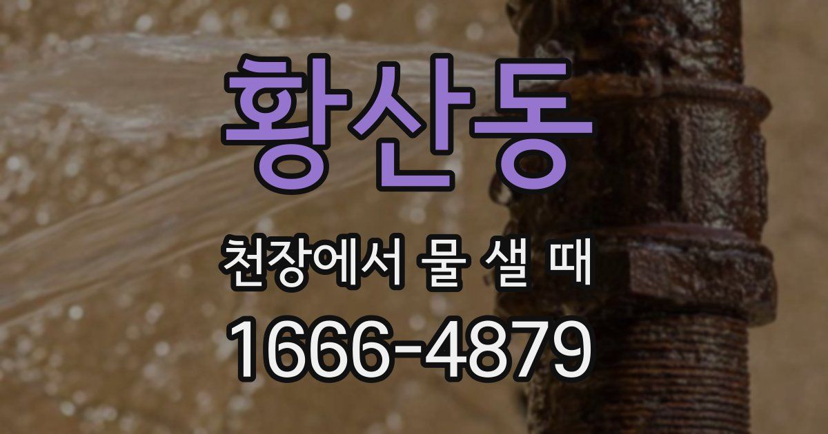 황산동 천장에서 물 샐 때