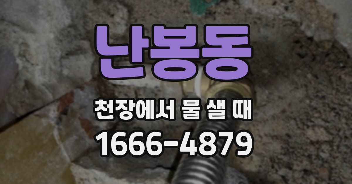난봉동 천장에서 물 샐 때