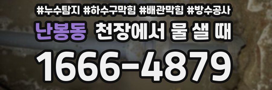 난봉동 천장에서 물 샐 때